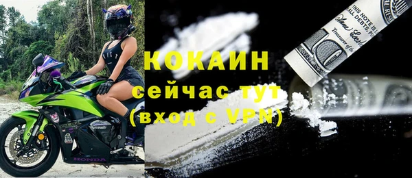 apvp Горнозаводск