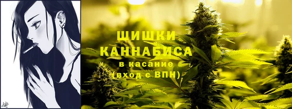 apvp Горнозаводск