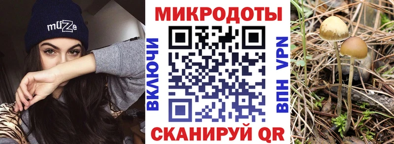 хочу   Можга  Псилоцибиновые грибы прущие грибы 