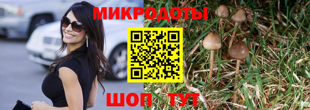 Псилоцибиновые грибы GOLDEN TEACHER  Вход с VPN  даркнет сайт  Можга 