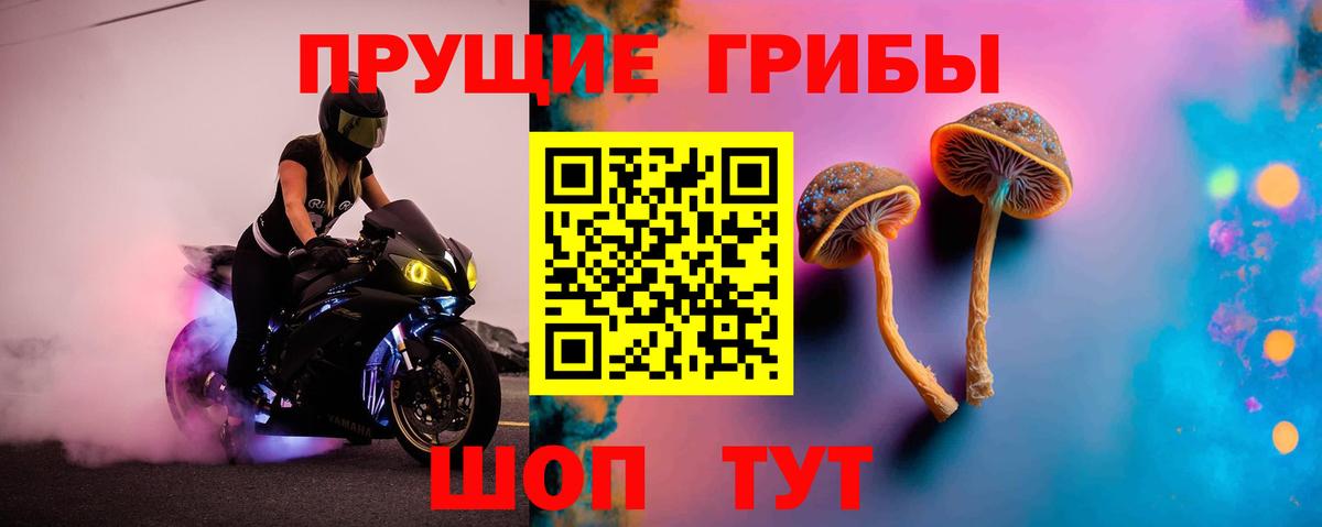 Галлюциногенные грибы GOLDEN TEACHER Можга