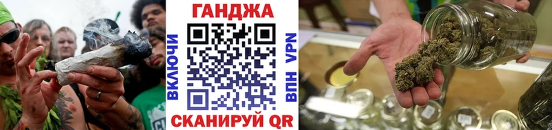 где можно купить   Можга  Бошки Шишки план 